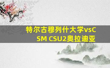 特尔古穆列什大学vsCSM CSU2奥拉迪亚